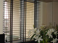 VENETIAN HORIZONTAL BLINDS